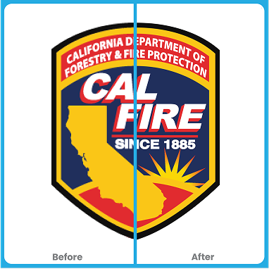 High-Volume Vector Delivery